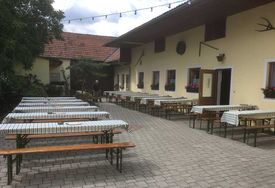 Markus Maurer | Weinbau | Zwentendorf an der Donau